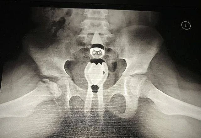 Заворожлива краса: фотогалерея з витонченими образами дівчини