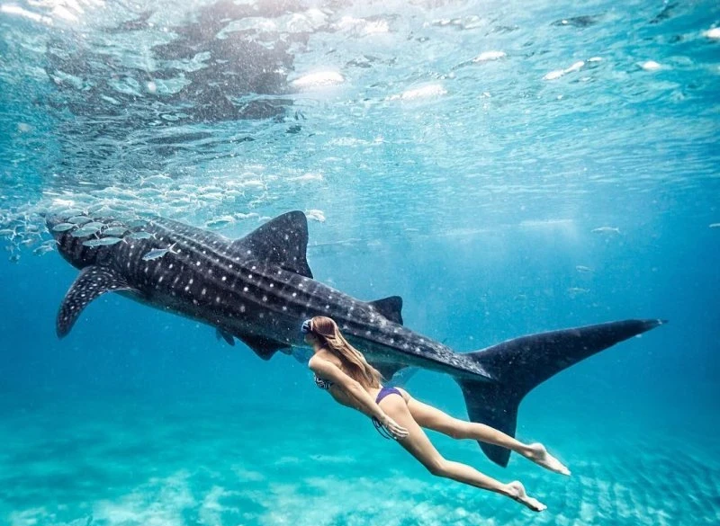 Елегантна краса: фотогалерея з чарівною дівчиною – фото 8